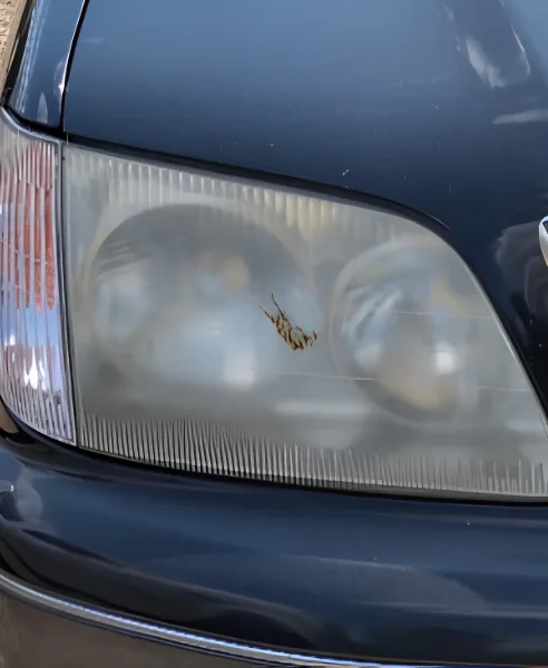Dark sedan headlight, our own work, before restoration